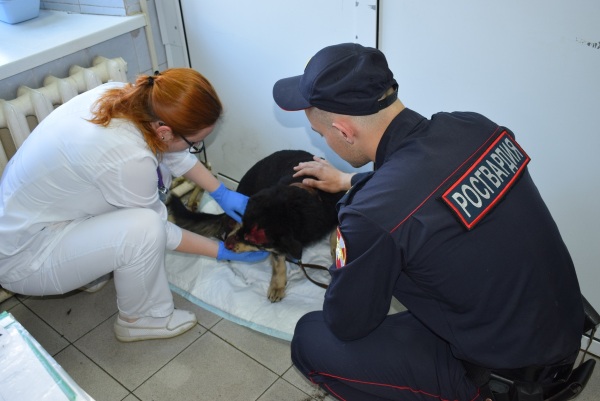 В Иркутске росгвардейцы спасли пса из горящей будки
