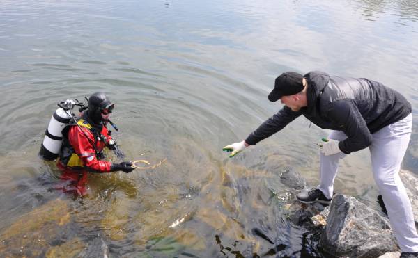 �������� ������� �������� � ������ ����� �� ��� �������