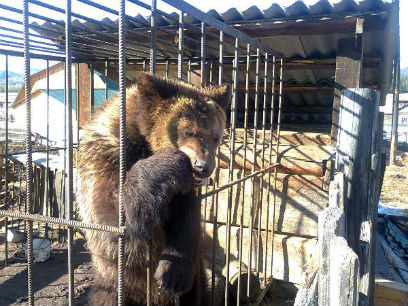 � ������� ���������� ����������, ��� ������� � �����