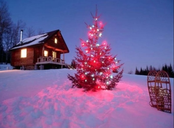 У одиноких пенсионеров в Бурятии украли новогоднюю ёлку