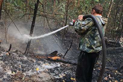 � ������� ������������ �������� ����� ��������� ���������� �����