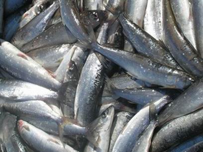 � �������� ���� ����-��� ��������� ����� ���� ����������� �����