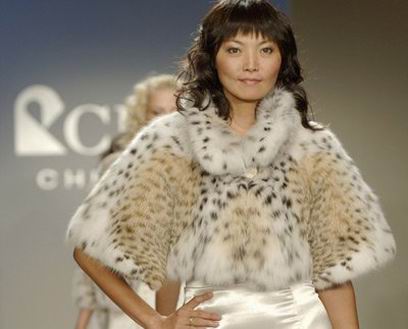 ����� �������� ������� ��������� ����� ������ ���� � ����-���