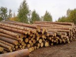 Экспорт нелегальной древесины из России в Китай обсудили в Иркутске