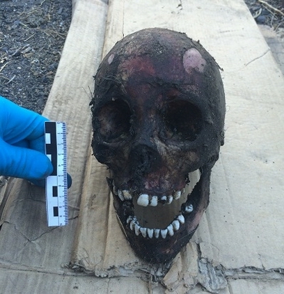 ��� ����-��� � ���� ���������� ����� �������