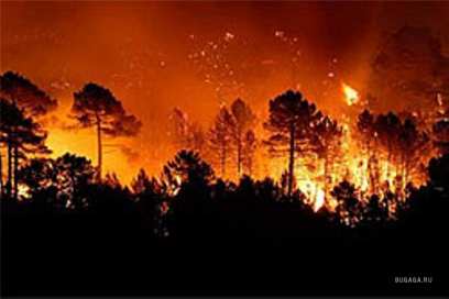 � ������� ��������� ������������ �� ����� ������ ������� ���