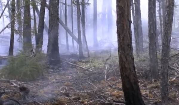 В Бурятии потушили лесной пожар