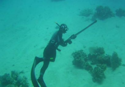 � ������� ��������� ������� ����� �� ����� ���������� 