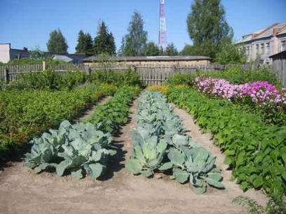 ������� ��������� ������ ��������� ����������� � ���������� 