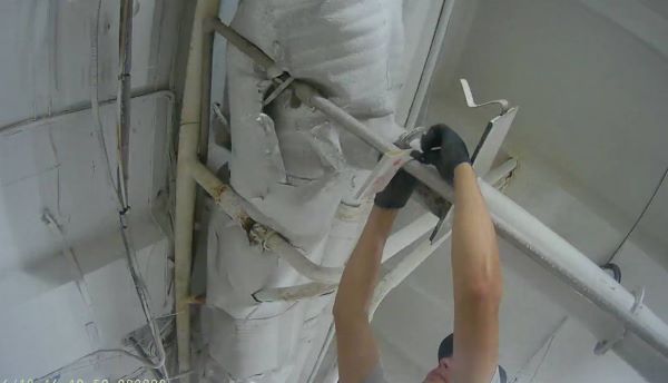 В Бурятии установят 850 феромонных ловушек на вредителей 