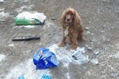 � ������� ������� �������� �������� ��������� � ������ �� ��������� 