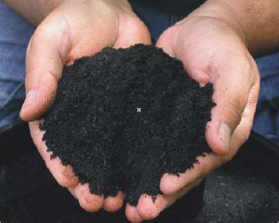 � ����-��� ������� �� ��������� ������� ����� ������� �����