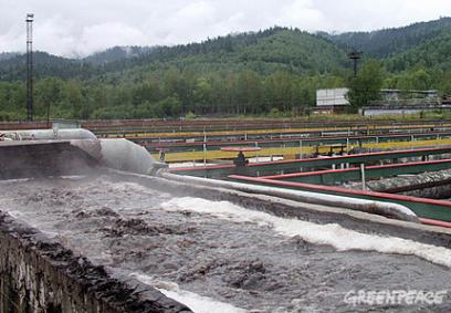 �������������: ������ ��������� ������ ������� � ������ ������� ������������ ���������� �����������