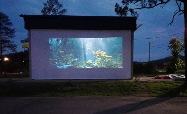 В Улан-Удэ вновь заработает летний кинотеатр 