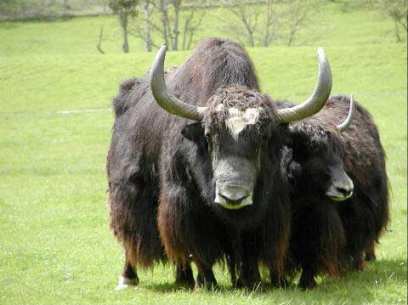 ������ ����� �������� ������������ ������ �� ��������� ����