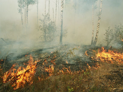 � ������� �����, ���� �� �������������� �� ������� ������, ������� �����