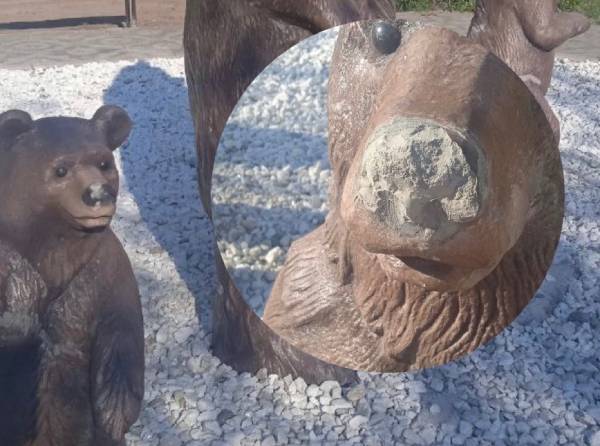 В Улан-Удэ двум медведям оторвали носы