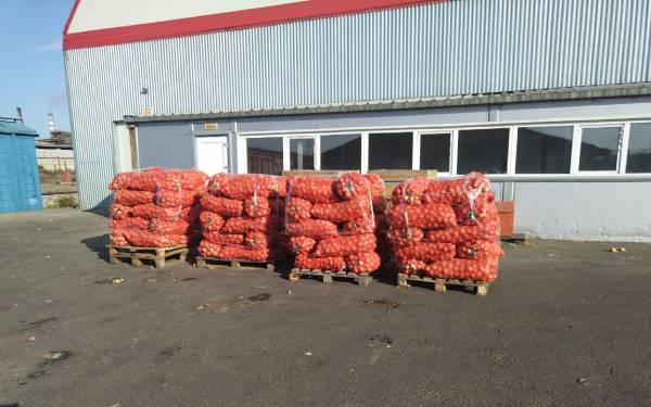 В Бурятии в два раза вырос импорт лука из Казахстана