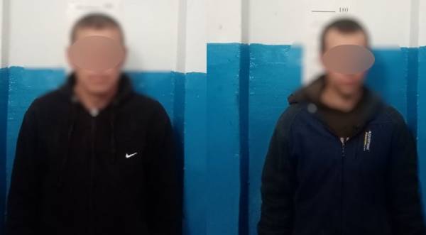 В Иркутской области трактористы подожгли солому и устроили лесной пожар