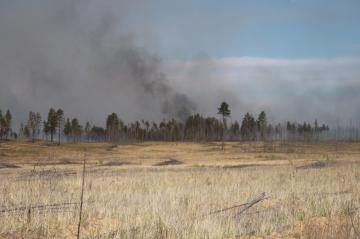 ������� ����� ����� ����-��� ���������� ����������, ������ � ��������� �����