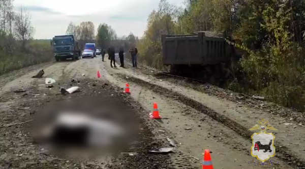В Иркутской области в ДТП грузовика с грузовиком погибли два человека