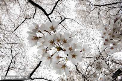 ������������ ��������� ��� �������� ����� ����� ����-��� �� ����������