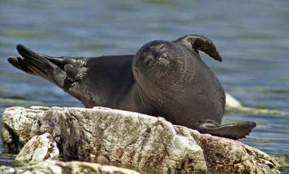 � ������������ ������������ ����� ������ �������� ����� 