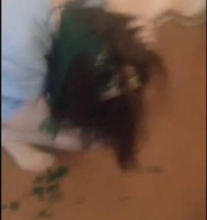 ����-������� ��������� �� ������ � �������������, ������� �� �������