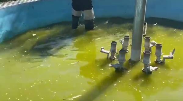 В Улан-Удэ фонтан почистили после жалоб на зелёную воду 