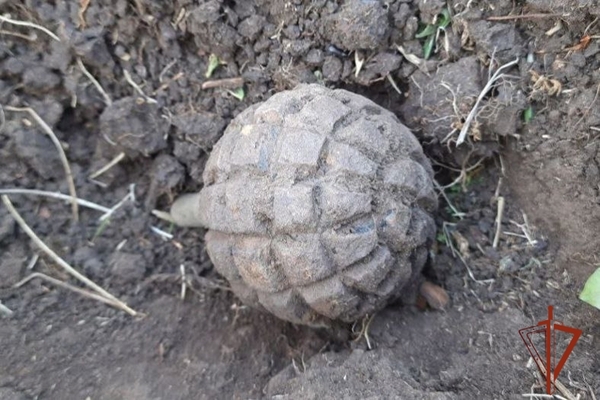 � ��������� ������� ����������� ������� ����� ������ ������� ����� 