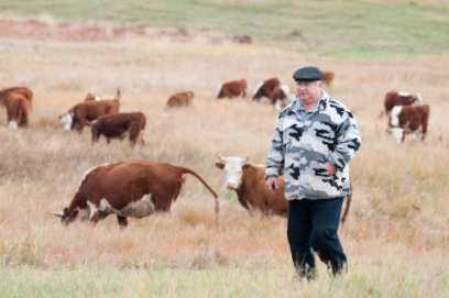 � ������� ��������� ������������ ���������� �����������