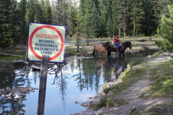 В Бурятии возник скандал вокруг запрета лошадей в Шумаке 