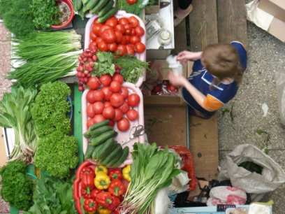 ������� ����� ����� �� ���� �������� ������, ����������� ������������� ������