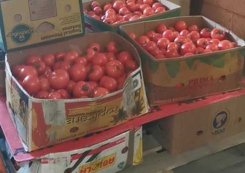В Иркутске уничтожили 219 кг томатов 