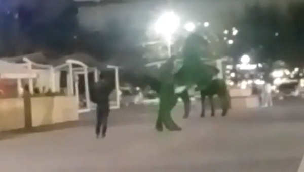 На главной площади Улан-Удэ хулиганы с разбегу запрыгивали на зелёного коня