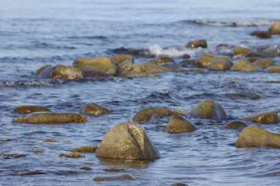 � ���� ������������� ����� ������ ��������� �� 37 ���������