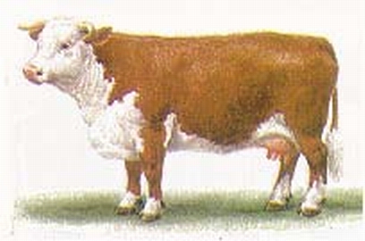 � ������� ������� ��������� ����� �� ���������