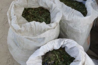 ������ ������� ������ ��� ����� ��������� ���� ������������ ������������