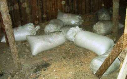 � ������� � ������ ��� ������ ���� ������ ����� 330 ����������� ����������