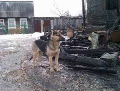 � ��������� ������ ������� ��� � ����, ����������� � ����� ���� ����