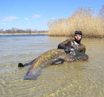 ��������� �������� ������� ������������