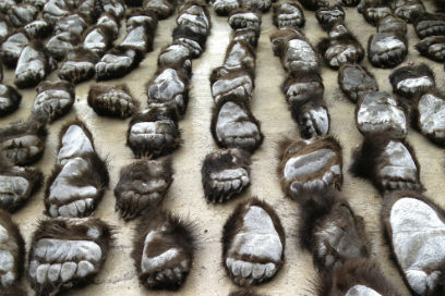 ��� ����������� �������� � ����� �� ����������� 213 ��������� ���