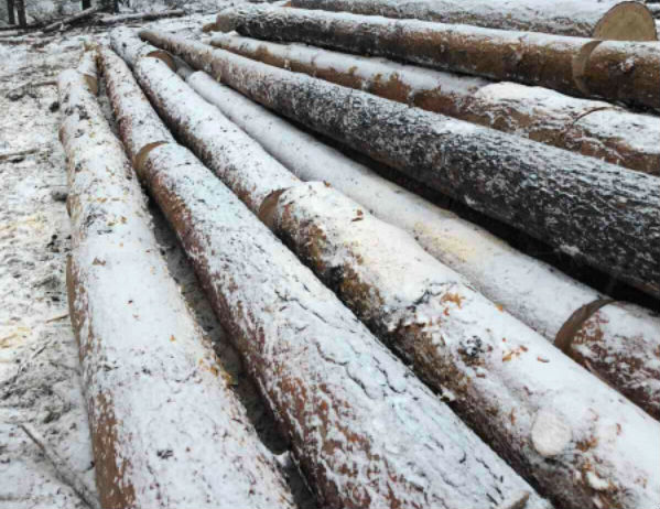 Житель Иркутской области срубил деревья на 1,8 млн
