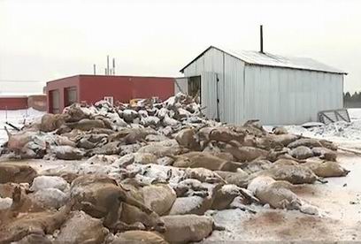 � ������� ���������� �������� ���� ������