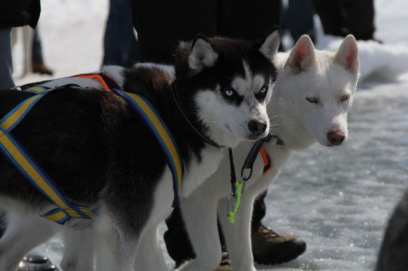 � ������� ������� ������ ������������ �� ������ �� �������