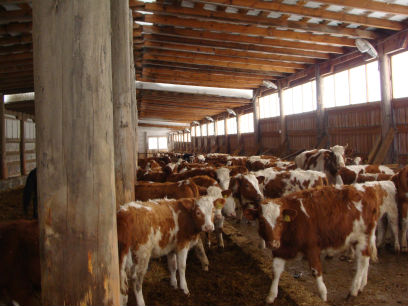 ������� ��������� ��������� ������� ������� ��������� ����� 