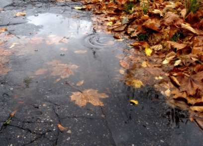 �������� � ������� �������� ����� ��� �������