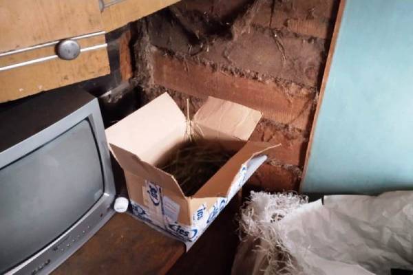 В Бурятии у пьяного дебошира нашли коробку с наркотиками 