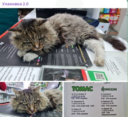 � ����-�������� ����������� ���� ��� ��������� ������