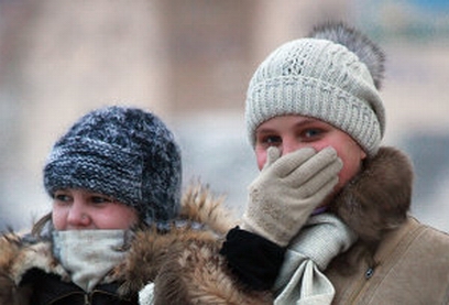 �������� ��������� ������� �������� 2010 ���� ������ 